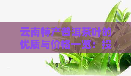 云南特产普洱茶叶的优质与价格一览：投资指南与市场趋势分析