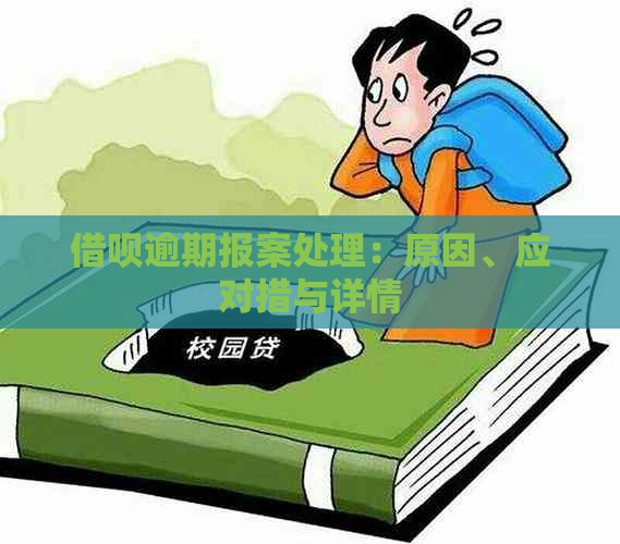 借呗逾期报案处理：原因、应对措与详情