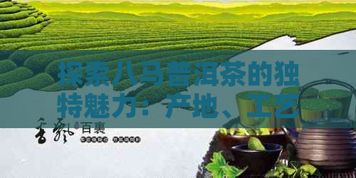 探索八马普洱茶的独特魅力：产地、工艺与口感的完美融合