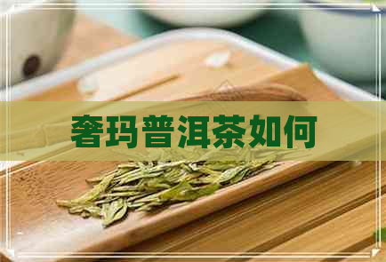 奢玛普洱茶如何