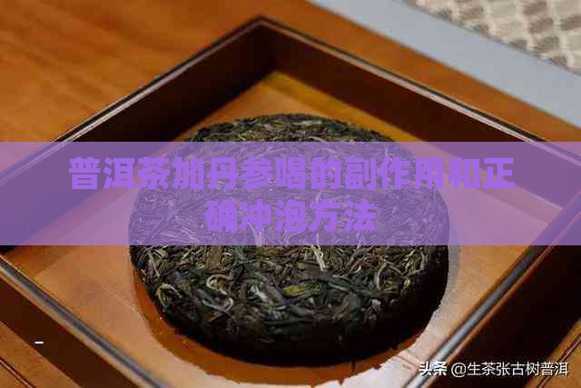 普洱茶加丹参喝的副作用和正确冲泡方法