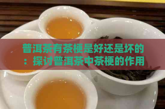 普洱茶有茶梗是好还是坏的：探讨普洱茶中茶梗的作用与影响