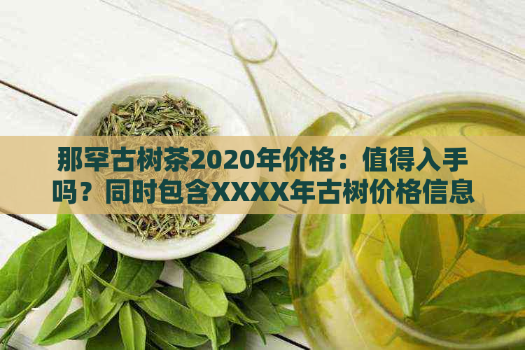 那罕古树茶2020年价格：值得入手吗？同时包含XXXX年古树价格信息。