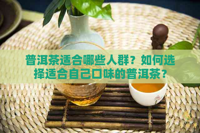 普洱茶适合哪些人群？如何选择适合自己口味的普洱茶？