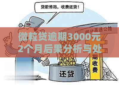 微粒贷逾期3000元2个月后果分析与处理建议，让你了解逾期影响和应对策略