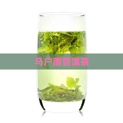 马户南普洱茶