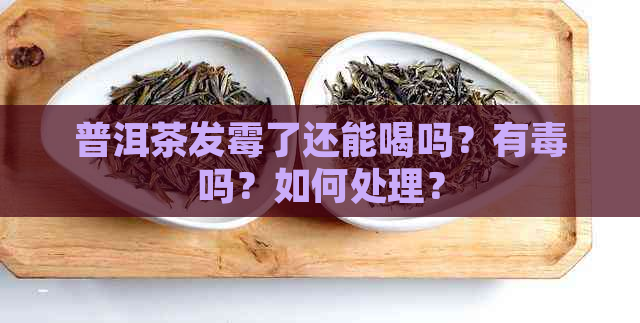 普洱茶发霉了还能喝吗？有吗？如何处理？