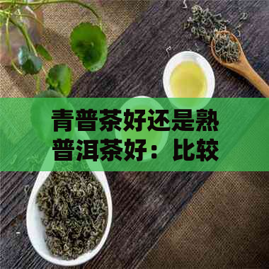 青普茶好还是熟普洱茶好：比较与选择，各自特点及功效