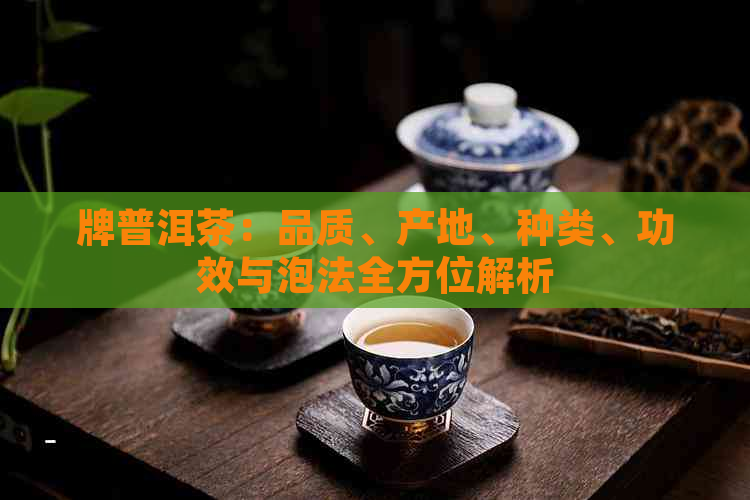 牌普洱茶：品质、产地、种类、功效与泡法全方位解析