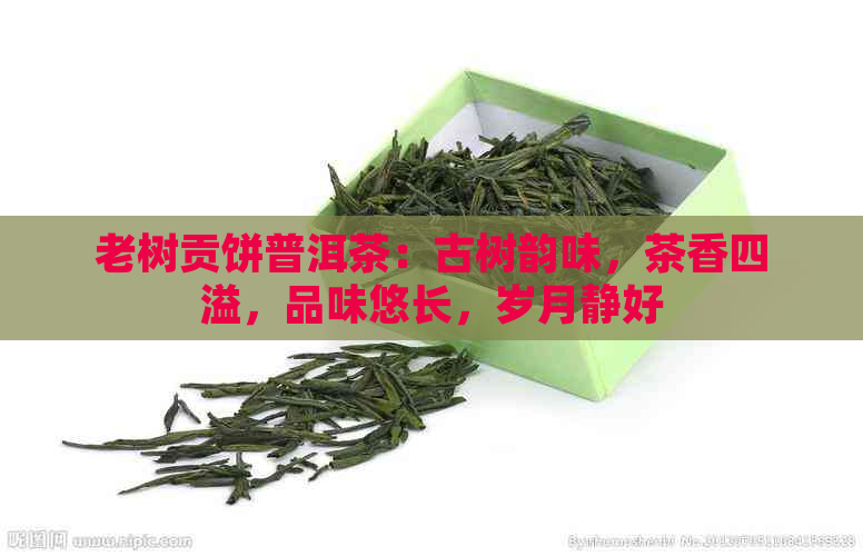 老树贡饼普洱茶：古树韵味，茶香四溢，品味悠长，岁月静好