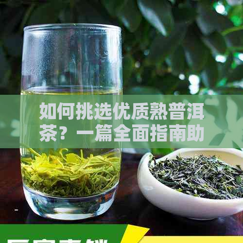 如何挑选优质熟普洱茶？一篇全面指南助你成为熟普洱茶达人！