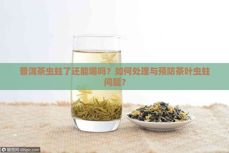 普洱茶虫蛀了还能喝吗？如何处理与预防茶叶虫蛀问题？