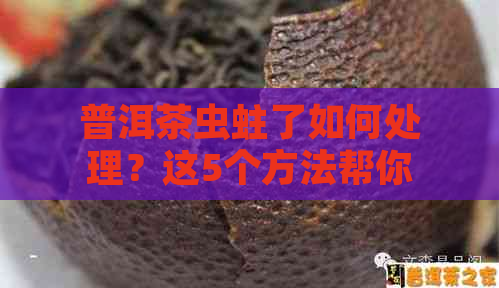 普洱茶虫蛀了如何处理？这5个方法帮你解决问题！