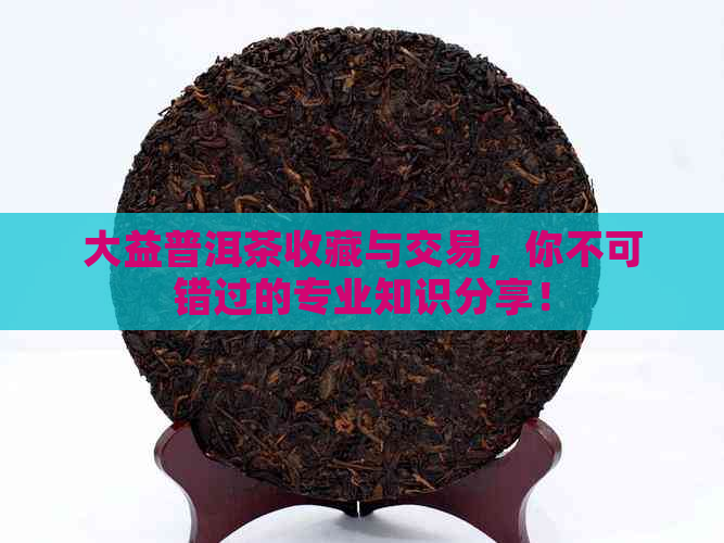 大益普洱茶收藏与交易，你不可错过的专业知识分享！