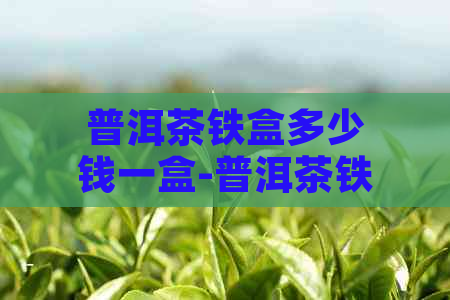 普洱茶铁盒多少钱一盒-普洱茶铁盒多少钱一盒图片