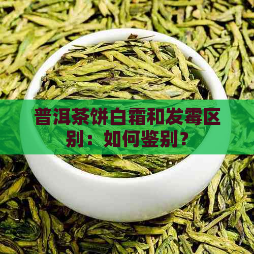 普洱茶饼白霜和发霉区别：如何鉴别？