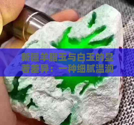 新疆羊脂玉与白玉的显著差异：一种细腻温润，一种晶莹剔透