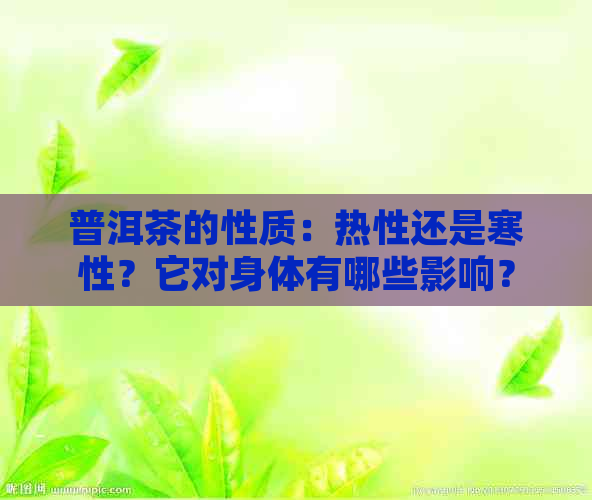 普洱茶的性质：热性还是寒性？它对身体有哪些影响？