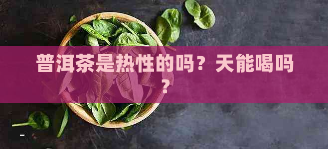 普洱茶是热性的吗？天能喝吗？