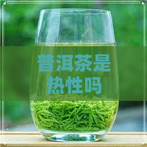 普洱茶是热性吗