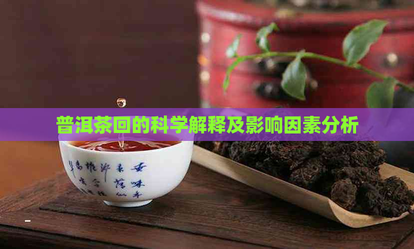 普洱茶回的科学解释及影响因素分析