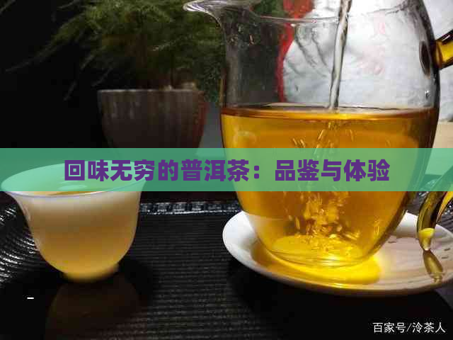 回味无穷的普洱茶：品鉴与体验