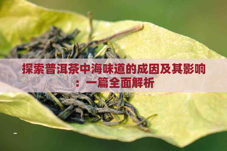 探索普洱茶中海味道的成因及其影响：一篇全面解析