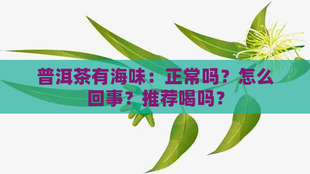 普洱茶有海味：正常吗？怎么回事？推荐喝吗？