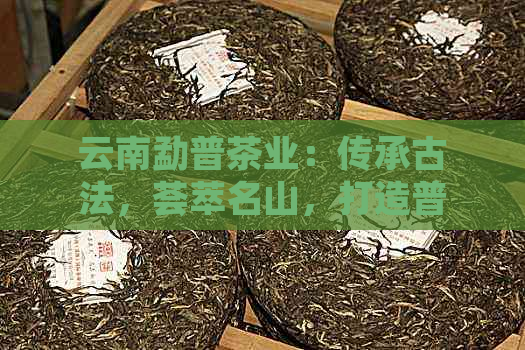 云南勐普茶业：传承古法，荟萃名山，打造普洱茶精品