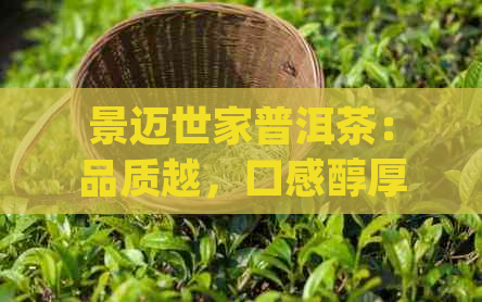 景迈世家普洱茶：品质越，口感醇厚，值得品尝。批发优中！