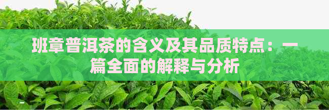 班章普洱茶的含义及其品质特点：一篇全面的解释与分析