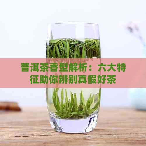 普洱茶香型解析：六大特征助你辨别真假好茶