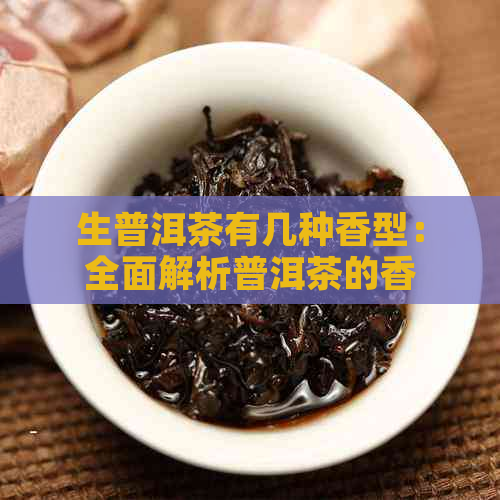 生普洱茶有几种香型：全面解析普洱茶的香气类型