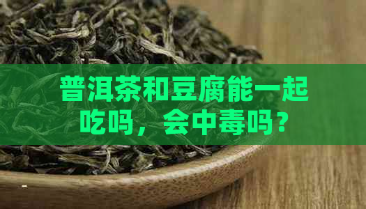 普洱茶和豆腐能一起吃吗，会中吗？