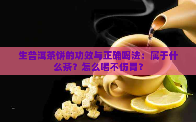 生普洱茶饼的功效与正确喝法：属于什么茶？怎么喝不伤胃？