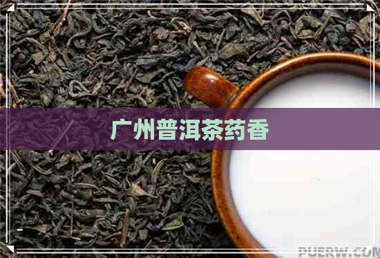 广州普洱茶药香