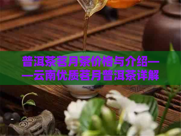 普洱茶茗月茶价格与介绍——云南优质茗月普洱茶详解