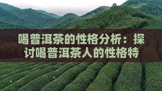 喝普洱茶的性格分析：探讨喝普洱茶人的性格特点