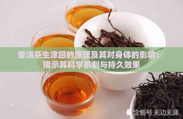 普洱茶生津回的原理及其对身体的影响： 揭示其科学机制与持久效果