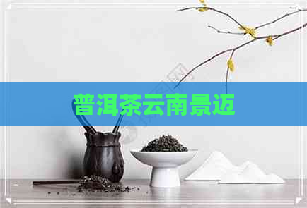 普洱茶云南景迈