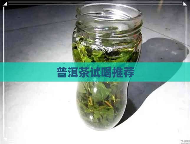 普洱茶试喝推荐