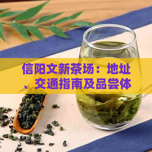 信阳文新茶场：地址、交通指南及品尝体验全解析，让你一次了解所有信息！