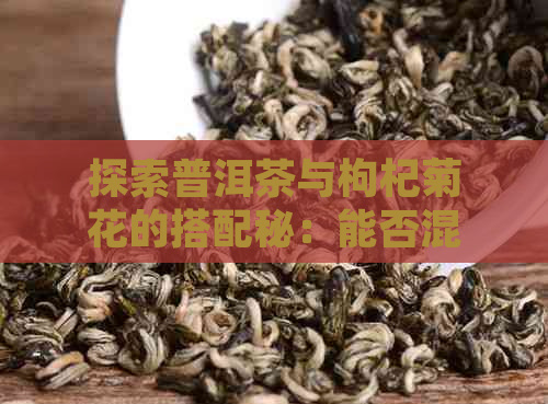 探索普洱茶与枸杞菊花的搭配秘：能否混合浸泡？