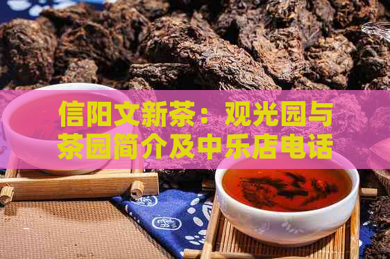 信阳文新茶：观光园与茶园简介及中乐店电话