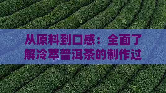 从原料到口感：全面了解冷萃普洱茶的制作过程与品鉴技巧