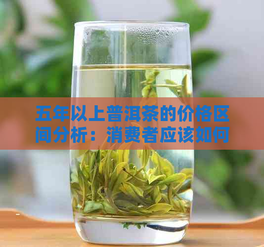 五年以上普洱茶的价格区间分析：消费者应该如何选择？