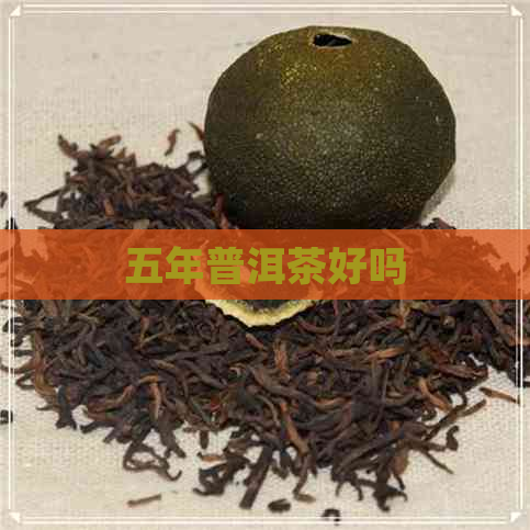 五年普洱茶好吗