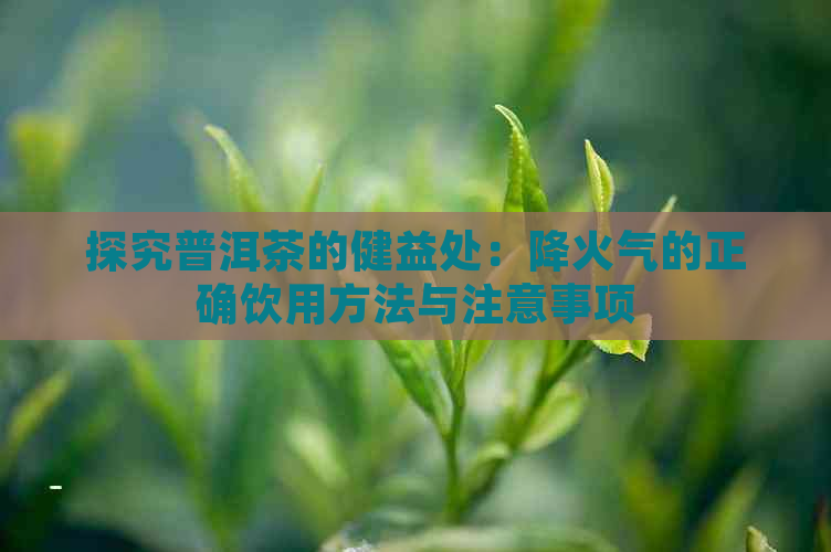 探究普洱茶的健益处：降火气的正确饮用方法与注意事项