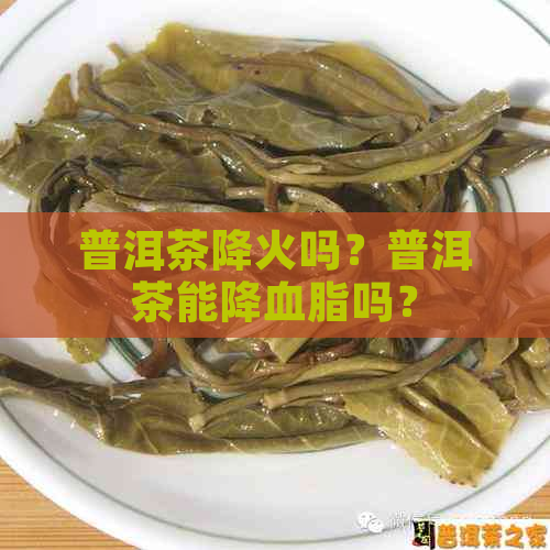 普洱茶降火吗？普洱茶能降血脂吗？