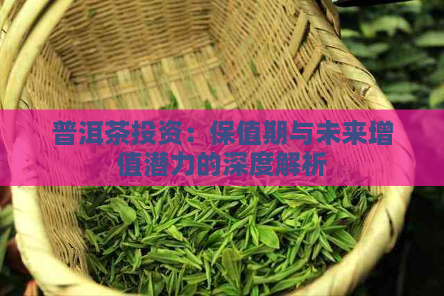 普洱茶投资：保值期与未来增值潜力的深度解析